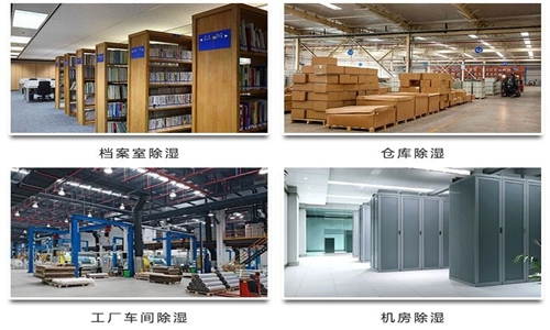 為什么竹筍烘干房需要除濕機？