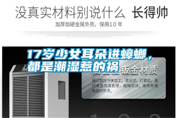 17歲少女耳朵進蟑螂，都是潮濕惹的禍