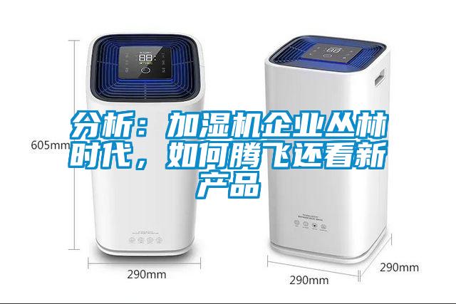 分析:加濕機企業(yè)叢林時代,如何騰飛還看新產(chǎn)品