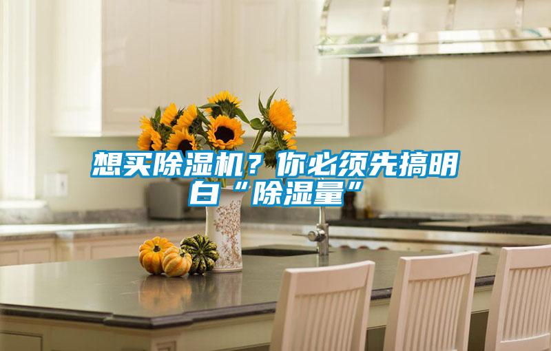 想買除濕機?你必須先搞明白“除濕量”