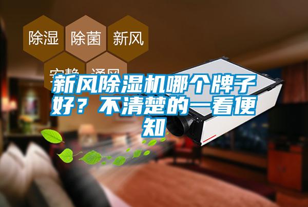 新風除濕機哪個牌子好？不清楚的一看便知