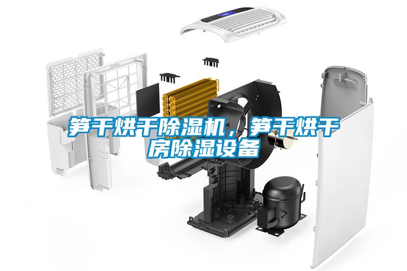 筍干烘干除濕機(jī)，筍干烘干房除濕設(shè)備
