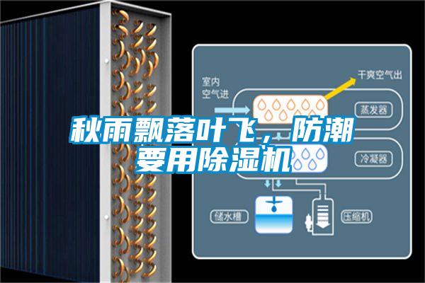 秋雨飄落葉飛,防潮要用除濕機(jī)