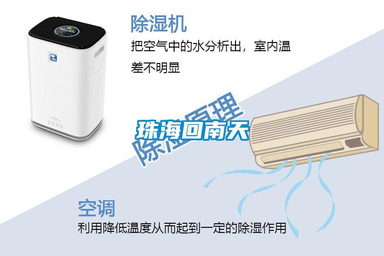 珠?；啬咸?></div>
								<div   id=