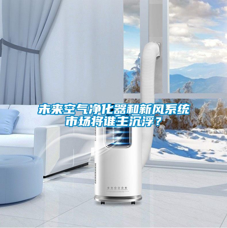 未來空氣凈化器和新風系統市場將誰主沉浮？