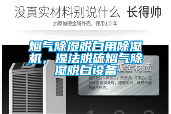 煙氣除濕脫白用除濕機,濕法脫硫煙氣除濕脫白設備