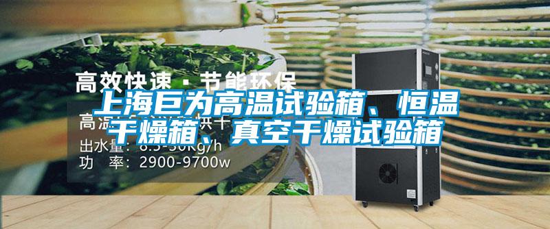 上海巨為高溫試驗箱、恒溫干燥箱、真空干燥試驗箱