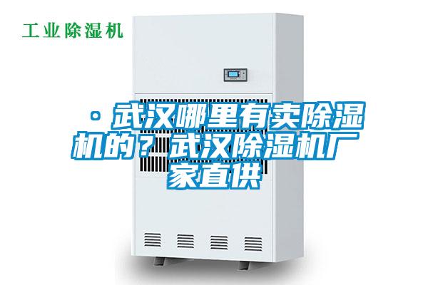 ·武漢哪里有賣(mài)除濕機(jī)的？武漢除濕機(jī)廠家直供