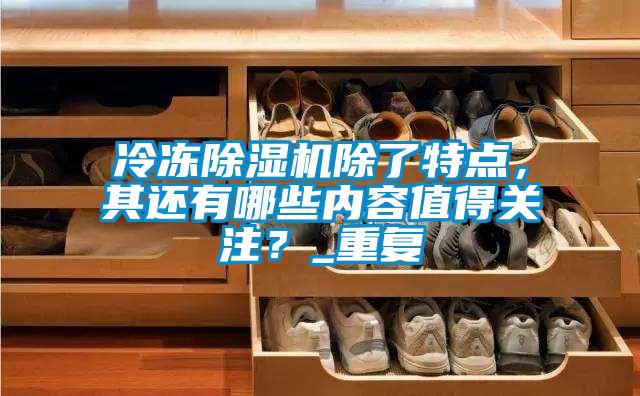 冷凍除濕機除了特點,其還有哪些內容值得關注?_重復