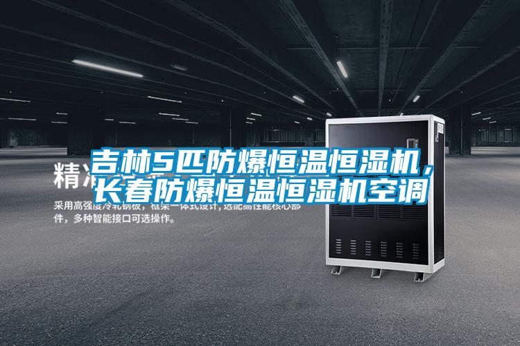 吉林5匹防爆恒溫恒濕機，長春防爆恒溫恒濕機空調
