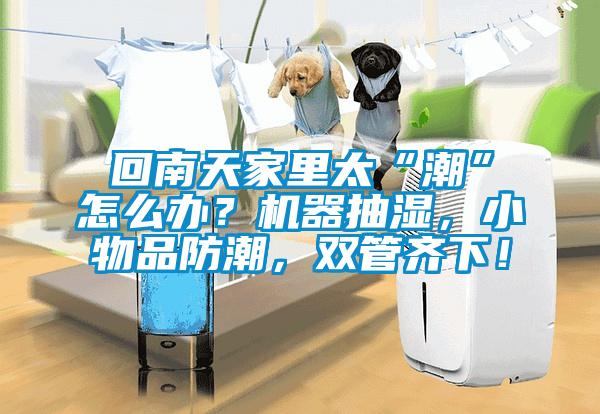 回南天家里太“潮”怎么辦？機器抽濕，小物品防潮，雙管齊下！