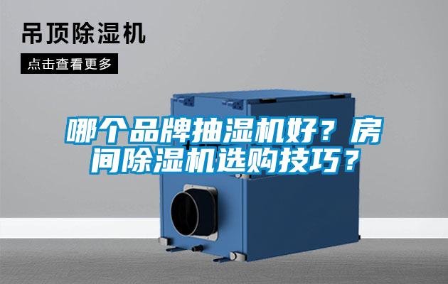 哪個(gè)品牌抽濕機(jī)好?房間除濕機(jī)選購技巧?