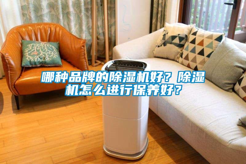 哪種品牌的除濕機好？除濕機怎么進行保養好？