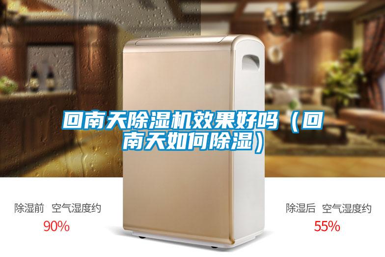 回南天除濕機效果好嗎(回南天如何除濕)