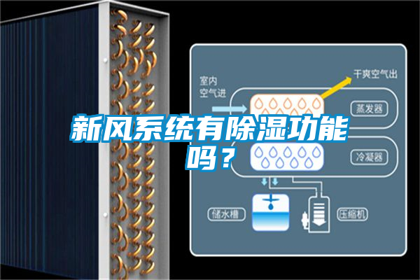 新風(fēng)系統(tǒng)有除濕功能嗎?