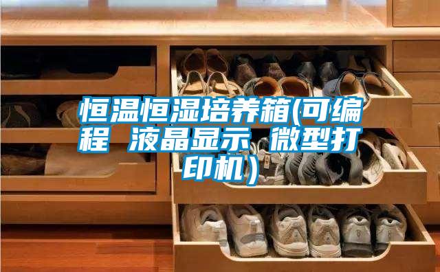 恒溫恒濕培養箱(可編程 液晶顯示 微型打印機)