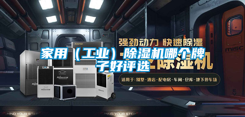 家用(工業(yè))除濕機哪個牌子好評選