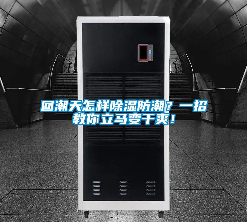 回潮天怎樣除濕防潮？一招教你立馬變干爽！