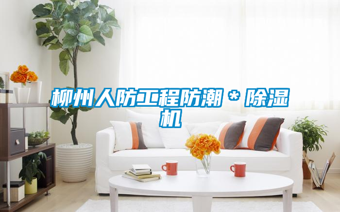 柳州人防工程防潮*除濕機