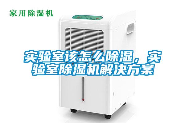 實(shí)驗(yàn)室該怎么除濕,實(shí)驗(yàn)室除濕機(jī)解決方案