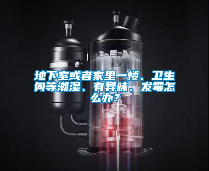 地下室或者家里一樓、衛生間等潮濕、有異味、發霉怎么辦？