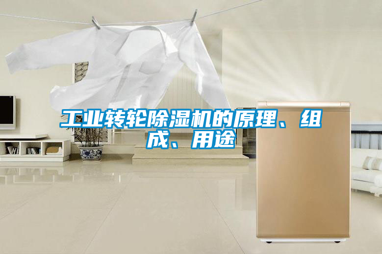 工業(yè)轉(zhuǎn)輪除濕機(jī)的原理、組成、用途