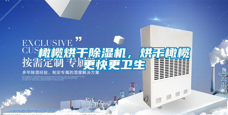 橄欖烘干除濕機，烘干橄欖更快更衛生