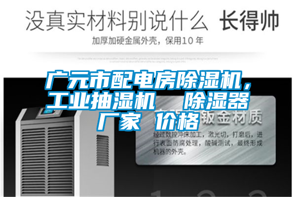 廣元市配電房除濕機，工業抽濕機  除濕器廠家 價格