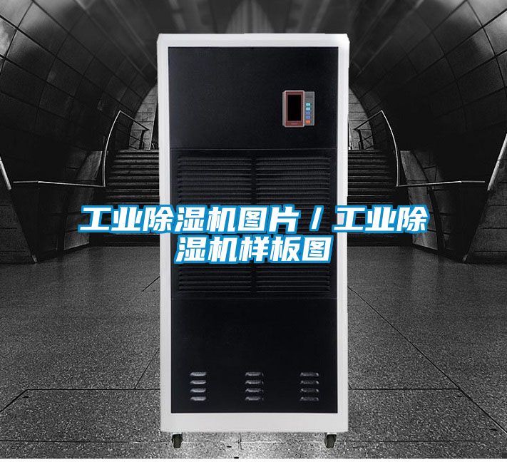 工業除濕機圖片/工業除濕機樣板圖