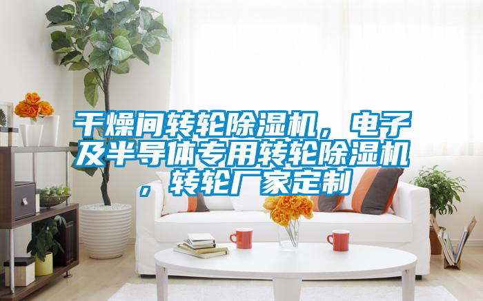 干燥間轉輪除濕機，電子及半導體專用轉輪除濕機，轉輪廠家定制