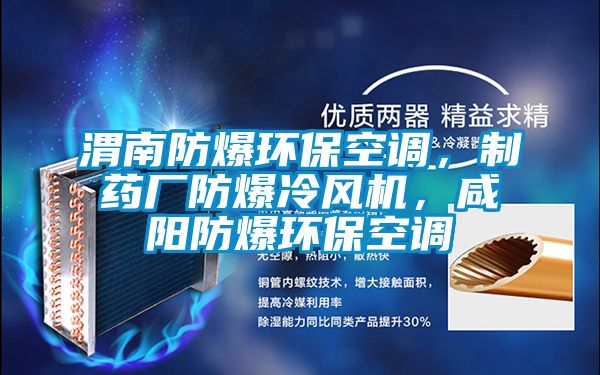 渭南防爆環(huán)?？照{(diào)，制藥廠防爆冷風機，咸陽防爆環(huán)保空調(diào)