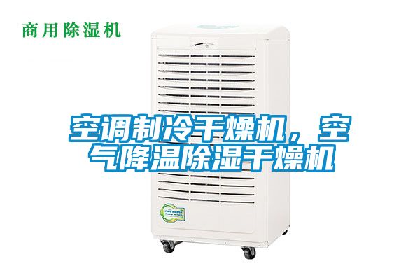空調制冷干燥機，空氣降溫除濕干燥機
