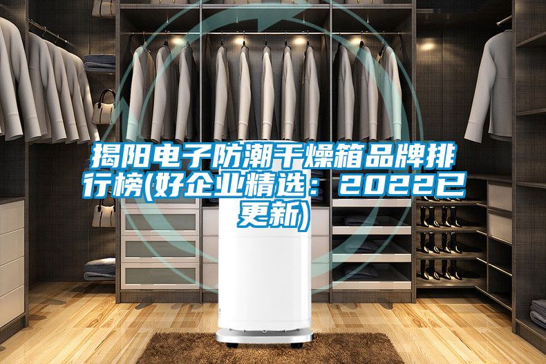 揭陽(yáng)電子防潮干燥箱品牌排行榜(好企業(yè)精選:2022已更新)