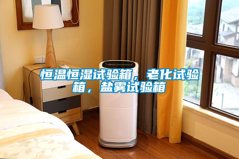 恒溫恒濕試驗箱，老化試驗箱，鹽霧試驗箱
