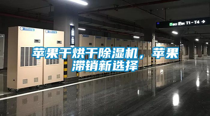 蘋果干烘干除濕機，蘋果滯銷新選擇