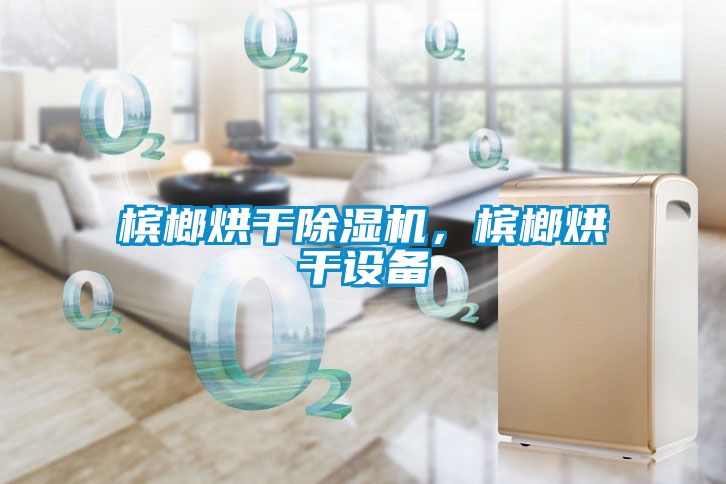 檳榔烘干除濕機,檳榔烘干設備
