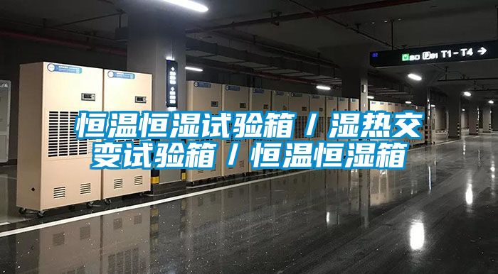 恒溫恒濕試驗箱/濕熱交變試驗箱/恒溫恒濕箱