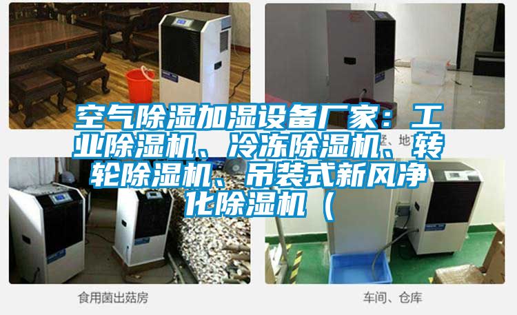 空氣除濕加濕設備廠家:工業(yè)除濕機、冷凍除濕機、轉(zhuǎn)輪除濕機、吊裝式新風凈化除濕機(